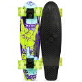 Skateboard Mini's